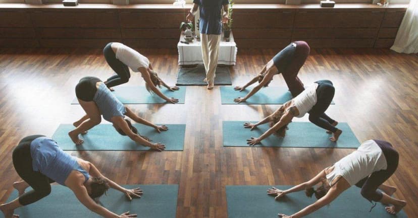 Peaceful yoga studio with people practicing yoga